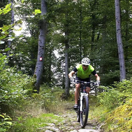 Daire Einfach.ausspannen Neumarkt im Muhlkreis
