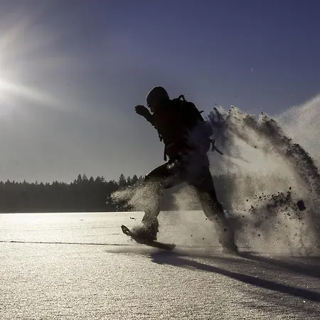 Einfach.ausspannen * Neumarkt im Muhlkreis