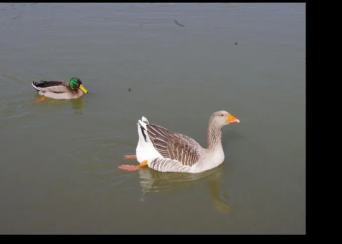 Einfach.ausspannen Апартаменты *