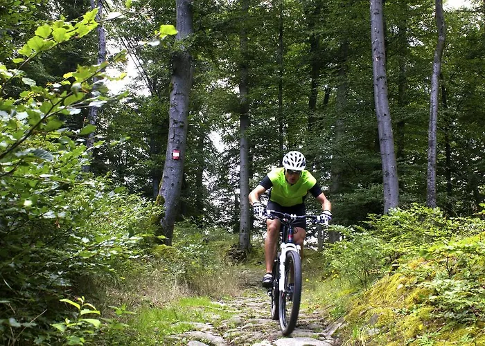 Апартаменты Einfach.ausspannen Neumarkt im Muhlkreis