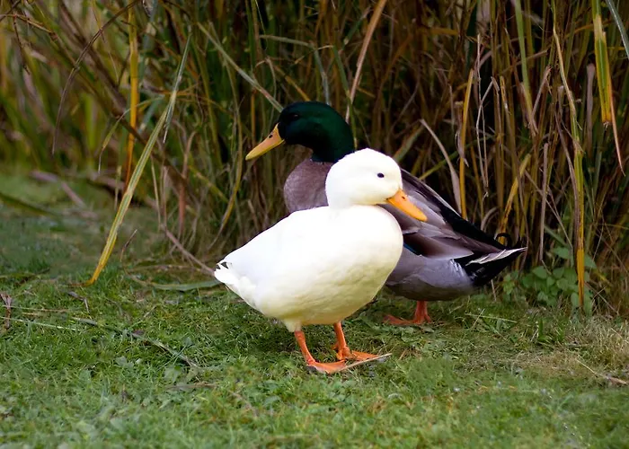 Apartment Einfach.ausspannen *